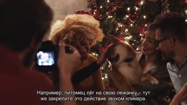 Как подружить собаку с кликером? смотреть онлайн