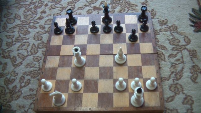 Шахматы черные отдали фигуру и выиграли смотреть онлайн