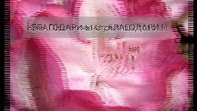 Христианские стихи''БЛАГОДАРИ'' смотреть онлайн