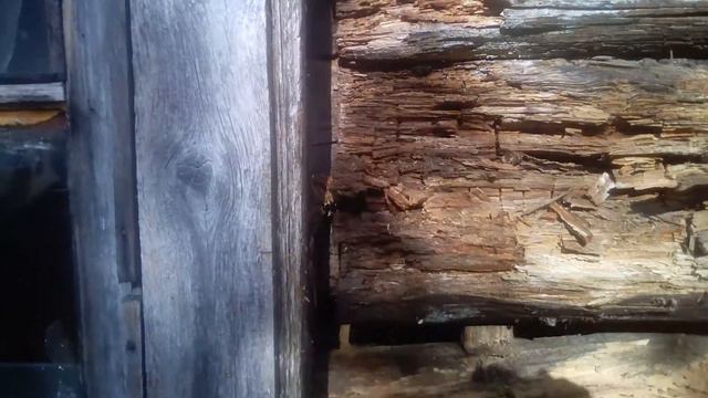 Как можно жить в таком доме. смотреть онлайн