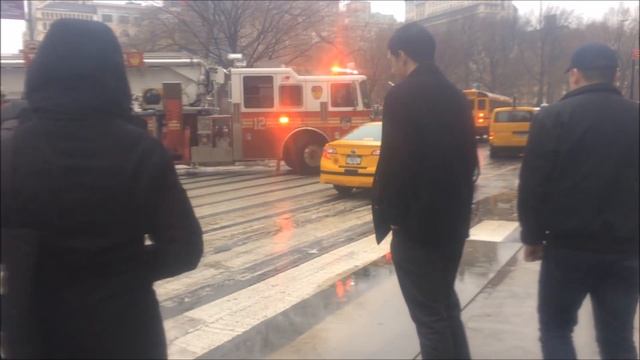 School Bus does not stop for FDNY смотреть онлайн