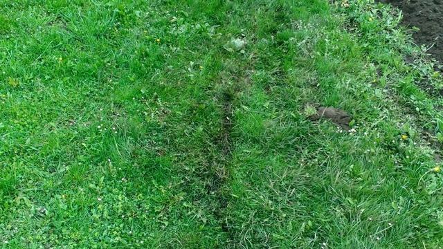 Вентиляція картера і нахил мотоблока. смотреть онлайн