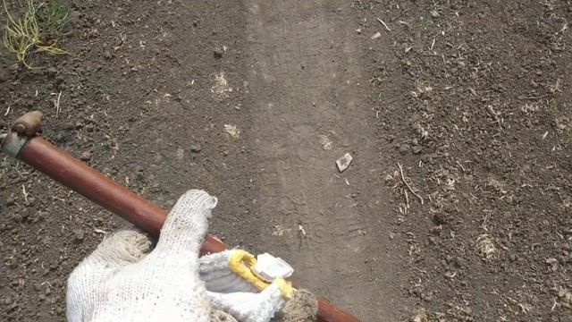 Прополка лука шкряболкой. Сезон 2020 смотреть онлайн