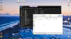 Skyrim Special Edition - Как установить моды? Какой Мод Менеджер выбрать?