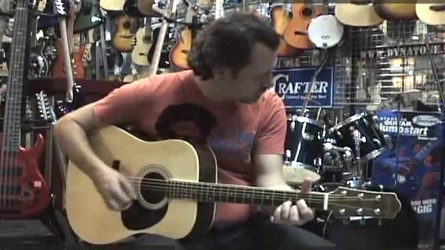 Акустическая гитара TERRIS DG303 N