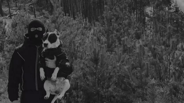 Буду буду говорить , если надо буду газовать смотреть онлайн