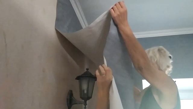 Поклейка обоев своими руками.Бассейн. Птицы смотреть онлайн