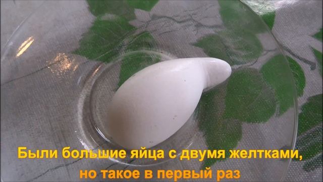 Яйцо необычной формы смотреть онлайн