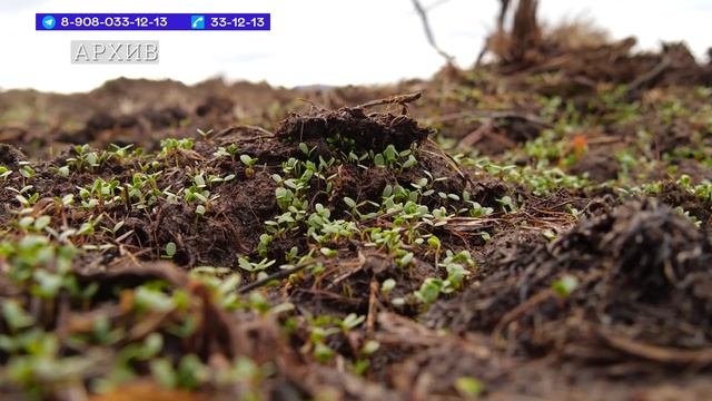 19.08.22. «Новости Северного города». Дорогу перекроют. Мыс Желания. 300 километров до мечты