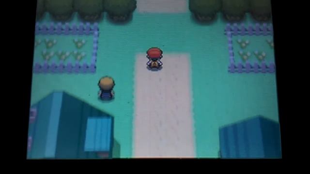 Let's Play Pokemon Perl Edition (3Ds)#1 смотреть онлайн