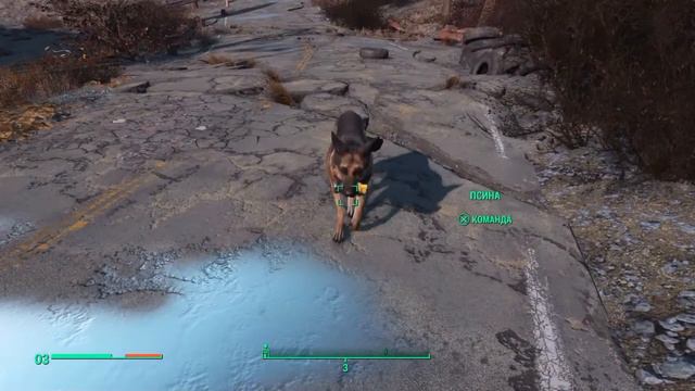 Fallout 4 Дюп любых вещей! (Работает после патча) смотреть онлайн