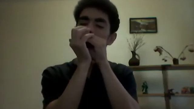 Случайный вальс. Марк Фрадкин #губнаягармошка #stratocastro #harmonica #harp смотреть онлайн