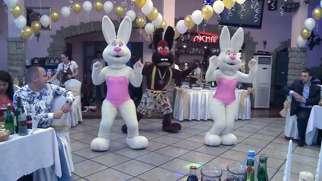 Зайцы www.video-mplus.ru Заходите на мой сайт смотреть онлайн