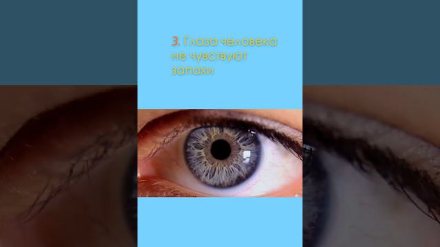 ТОП 5 ФАКТОВ КОТОРЫЕ ДОЛЖЕН ЗНАТЬ КАЖДЫЙ ЧЕЛОВЕК