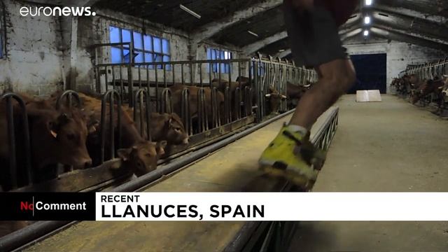 Испанский ковбой на роликах