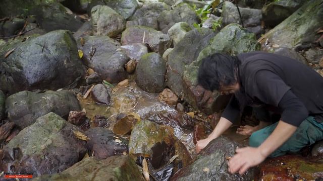 Back Home After 3d2n In The Forest, Bring Lots Of Food: Mice, Squirrels, Frogs, Crabs, Mushrooms смотреть онлайн