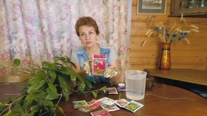 Вредители на комнатных цветах - Что делать?