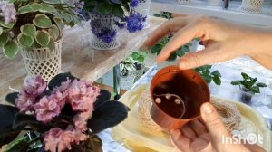 Нить для фитильного полива фиалок! Отвечаю на ваши вопросы: из чего, толщина, не тянет воду, как ..