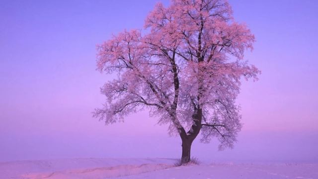 Включенные знаки в 7-м и 1-м доме. Планеты во включенных знаках смотреть онлайн