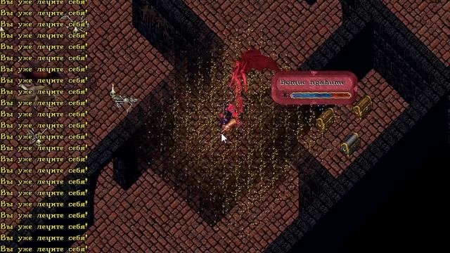 Короли махаона (uolife.ru)