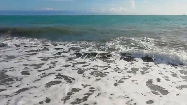 Пицунда. Пляж Санатория Самшитовая Роща. Дельфины. смотреть онлайн