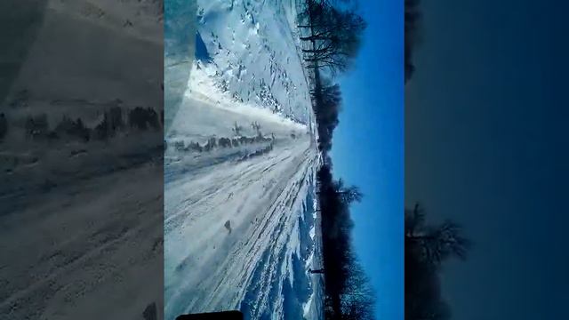 Дорога Александрия Жёлтые Воды смотреть онлайн