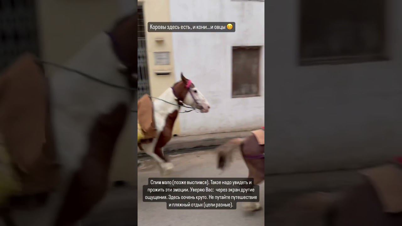 28 июня 2024 г. смотреть онлайн