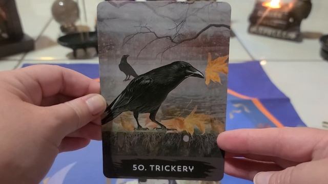 Urban Crow Oracle and Urban Crow Expansion Pack Flip Through смотреть онлайн