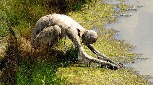 РЕАЛЬНЫЕ КАДРЫ НЕОПОЗНАННОГО. ШОКИРУЮЩЕЕ ВИДЕО. МИСТИКА И ПАРАНОРМАЛЬНОЕ