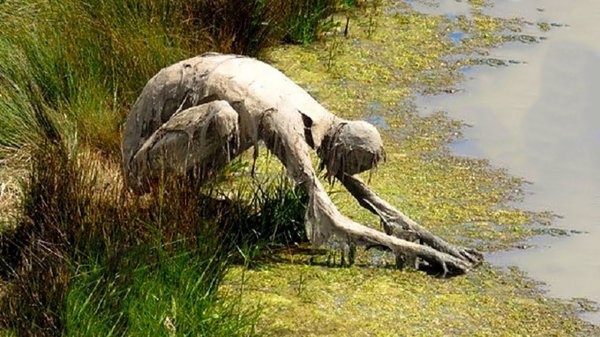 РЕАЛЬНЫЕ КАДРЫ НЕОПОЗНАННОГО. ШОКИРУЮЩЕЕ ВИДЕО. МИСТИКА И ПАРАНОРМАЛЬНОЕ