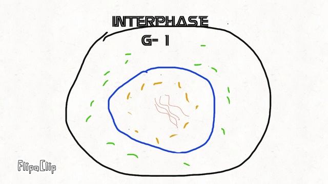 interphase example смотреть онлайн