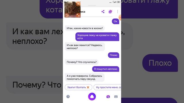 Разговор с Яндекс Алисой! смотреть онлайн