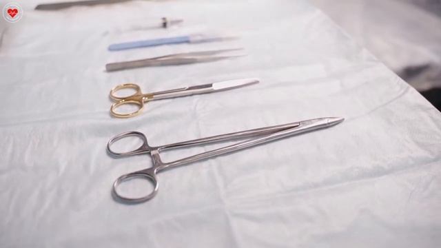 ГЕЛЬМИНТЫ (ГЛИСТЫ) смотреть онлайн