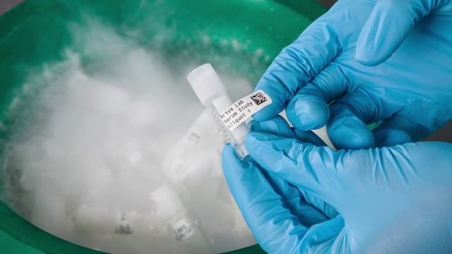 Работа принтера этикеток Brady BBP12 с перфорированной бумагой смотреть онлайн