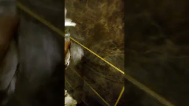 Как вытереть пыль на кафеле смотреть онлайн