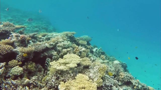 Музыка для релаксации ♫Сборник Самых Невероятно Красивых и Нежных Мелодий, до глубины Души! смотреть онлайн