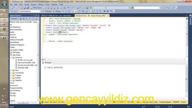 Transact SQL - Insert,Delete,Update Komutları смотреть онлайн