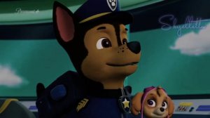 🔥Гонщик и Скай🔥(Малышка ревнует)~Для канала Алёнка Рыжова~🔥Chase x Skye🔥