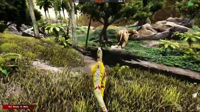 Кубло динозавров - отложил яйца - ARK Survival Evolved смотреть онлайн