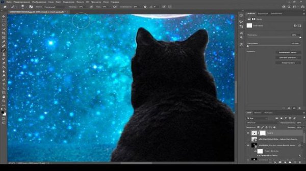 Лунный кот|Moon cat| Speed art Photoshop