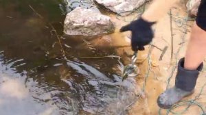 Магнитная рыбалка