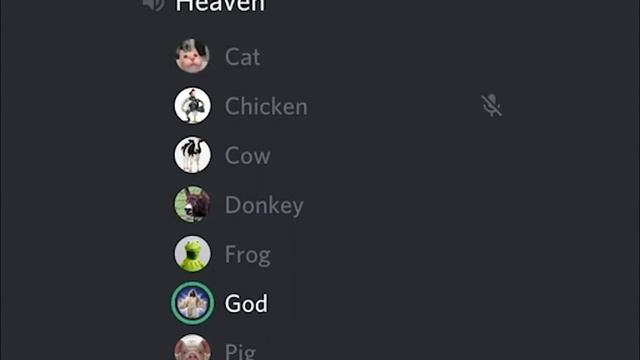 The Cat Goes to Heaven Discord Meme смотреть онлайн