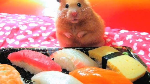 Pecha Kucha Training Bite смотреть онлайн