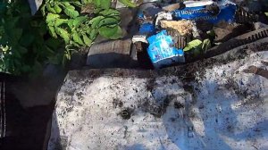 1824 Как картошку собирал под картоном №3