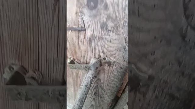 Заброшенная деревня, уцелевший дом.