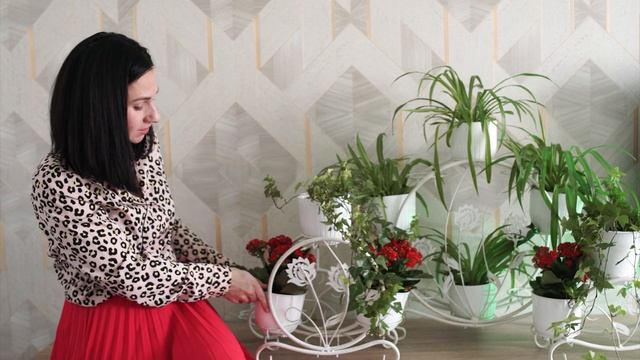 Посмотрите на нашу подборку и выберите свою новую любимицу ? смотреть онлайн