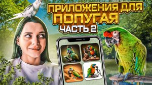 НАУЧИЛА ПОПУГАЯ ГОВОРИТЬ ЗА 30 МИНУТ | ЧАСТЬ 2