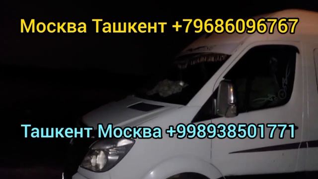 Новосибирск Ташкент автобус Россия Ташкент микроавтобус #москваташкент смотреть онлайн