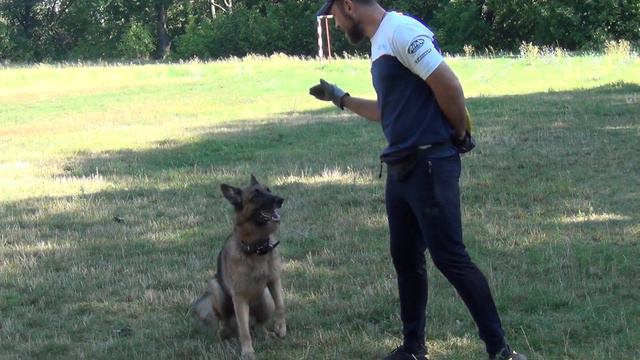 Дай "пять"))) смотреть онлайн