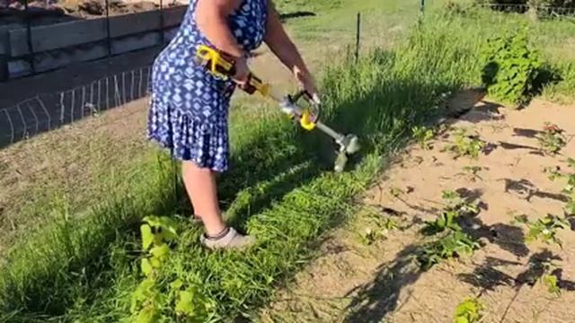 КОШУ ТРАВУ В ОГОРОДЕ/ САПАЮ ОГУРЦЫ/ США/ смотреть онлайн